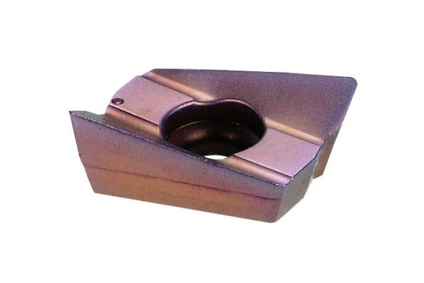 ARG250902(ACZ310) Inserti